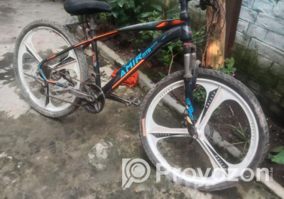 fitted-2024-12-05T184235