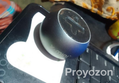 fitted-2024-12-05T192832