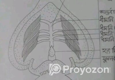 1737121011123