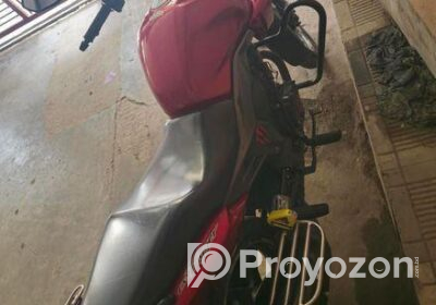fitted-70_2025-03-17_00-08-00-Copy