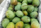 পাকা গোপালভোগ ও গোবিন্দভোগ আম বিক্রি করা হবে।
