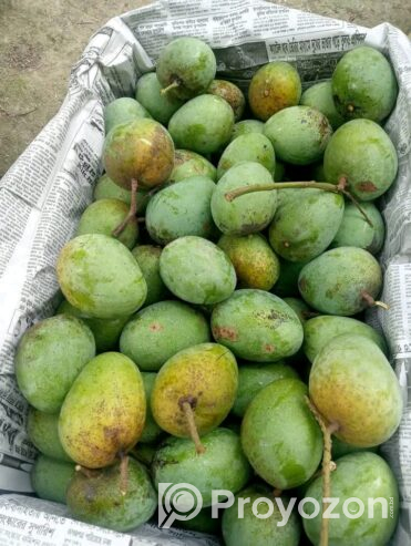 পাকা গোপালভোগ ও গোবিন্দভোগ আম বিক্রি করা হবে।