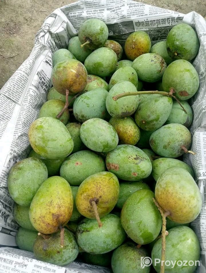 পাকা গোপালভোগ ও গোবিন্দভোগ আম বিক্রি করা হবে।