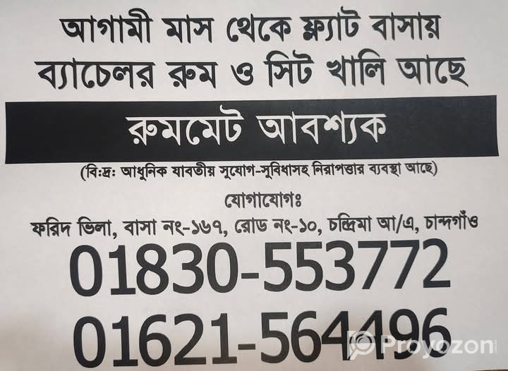 ব্যাচেলর ফ্লাটে রুম অথবা সিট ভাড়া দেওয়া হবে