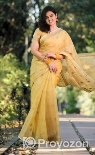 Print Sharee with Blouse