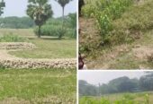 ১০.৮৫ শতাংশ জমি বিক্রি করা হবে