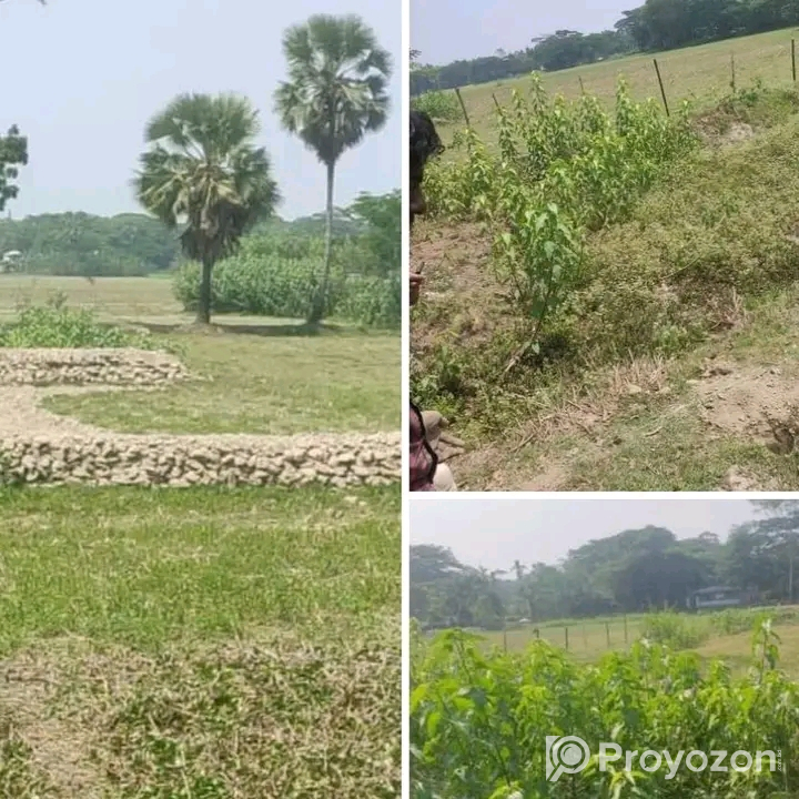 ১০.৮৫ শতাংশ জমি বিক্রি করা হবে