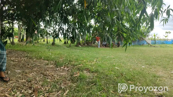 ৫.১৫ শতাংশ জমি বিক্রয় হবে