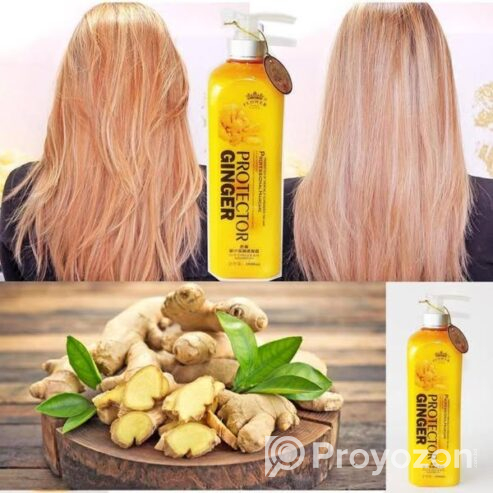 𝐏𝐫𝐨𝐭𝐞𝐜𝐭𝐨𝐫 𝐆𝐢𝐧𝐠𝐞𝐫 𝐒𝐡𝐚𝐦𝐩𝐨𝐨 . For sell