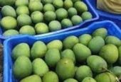 হিমসাগর আম