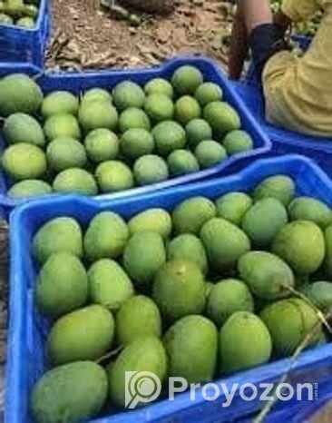 হিমসাগর আম