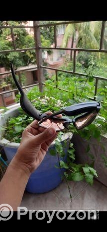 Bluetooth Bose Frames Tempo (Model BMD0010)