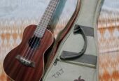 Hola ukulele concert size 24″ fresh condition