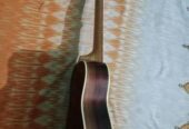 Hola ukulele concert size 24″ fresh condition