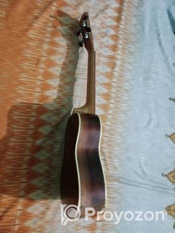 Hola ukulele concert size 24″ fresh condition