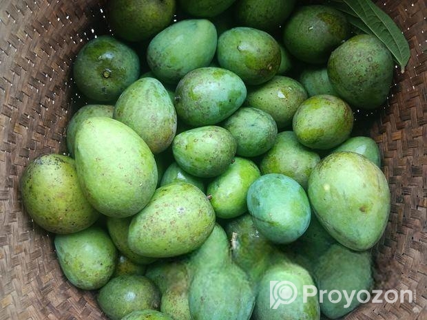 নিজস্ব বাগানের আম