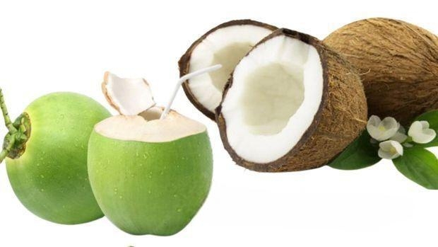 সরাসরি বাগান থেকে সংগ্রহ করা টাটকা-তাজা ডাব