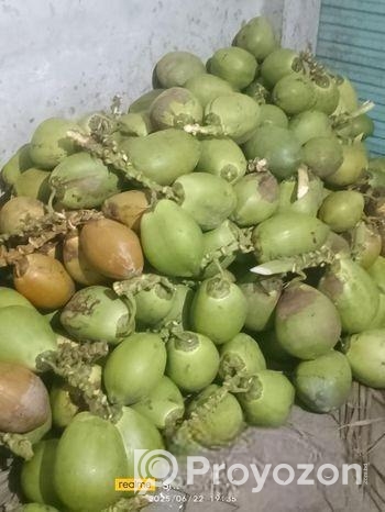 সরাসরি বাগান থেকে সংগ্রহ করা টাটকা-তাজা ডাব