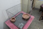 পাখির খাচা ১৬ বাই ২০ বিক্রি হবে