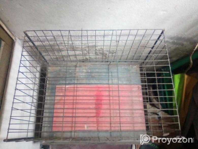 Khacha for sale