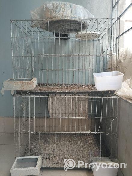 সিঙ্গেল খাঁচা 2 পিস ও প্রয়োজনীয় ডিমের হাড়ি,