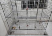 Cat Cage For Sale