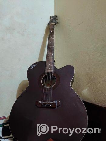 একুস্টিক গিটার