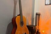 Classical Guitar (Valencia)