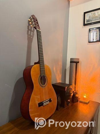 Classical Guitar (Valencia)