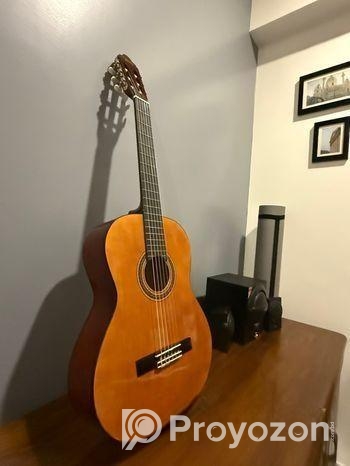Classical Guitar (Valencia)