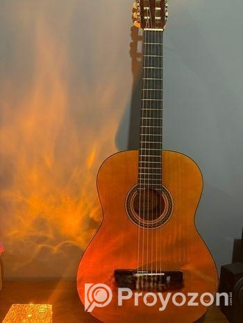 Classical Guitar (Valencia)