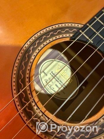 Classical Guitar (Valencia)