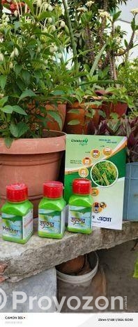 কীটনাশক,ধান গাছের জন্য