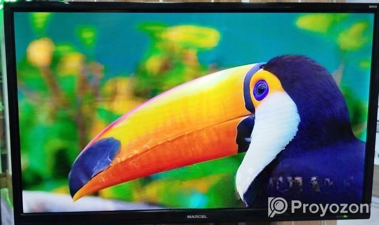 Marcel-32-Inchi Smart Android TV Full Box