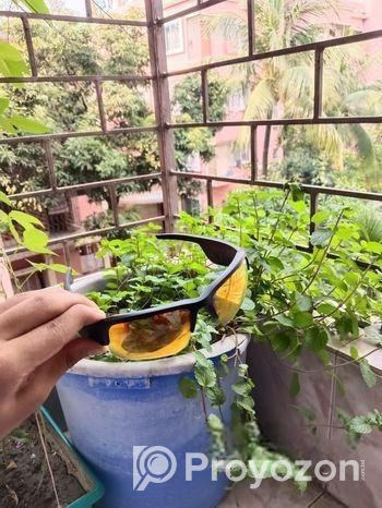 অরিজিনাল Bose Frames Tempo (Model BMD0010)