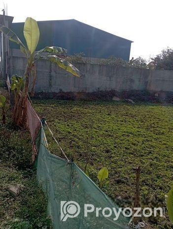 জমি ভাড়া দেয়া হবে,মাতুয়াইল