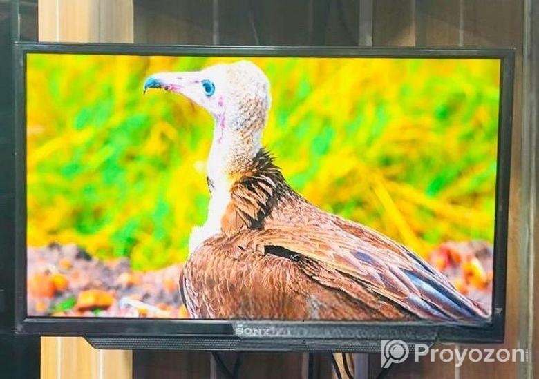 Sony Plus-24″ Inchi Non Smart Basic TV