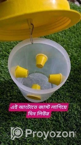টারজান ফেরোমন ফাঁদ