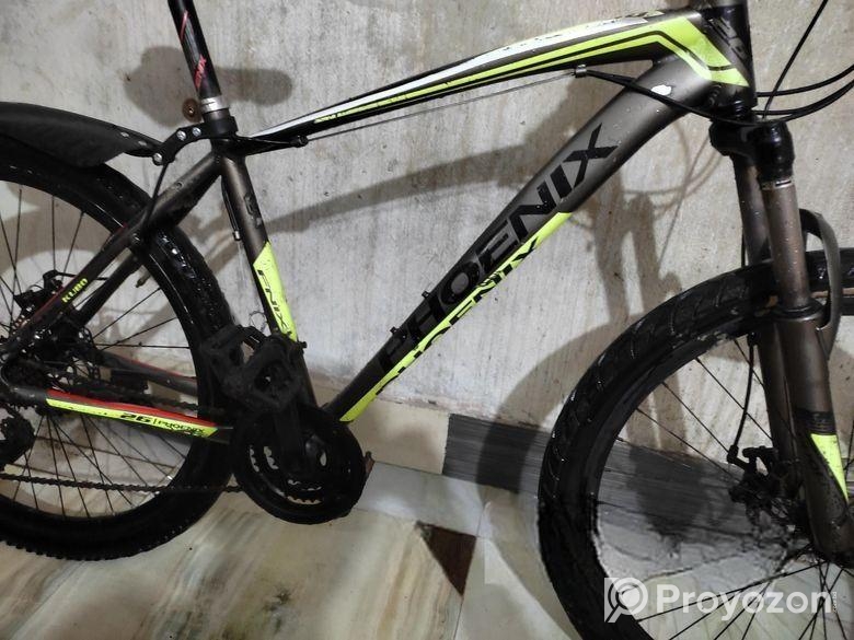 Phoenix for sale