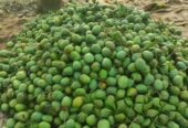 হিমসাগর আম