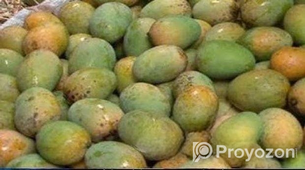 রাজশাহীর হিমসাগর
