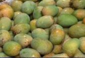 Mango Sell