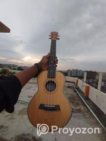 Ukelele Sell hobe