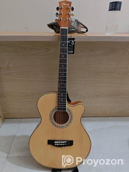 Guiter sell