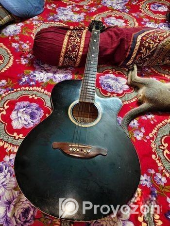 Sx Custom Guitar