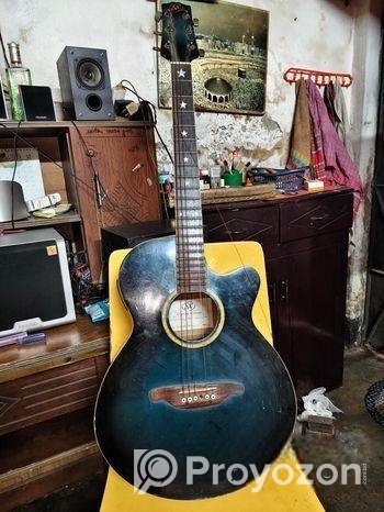 Sx Custom Guitar