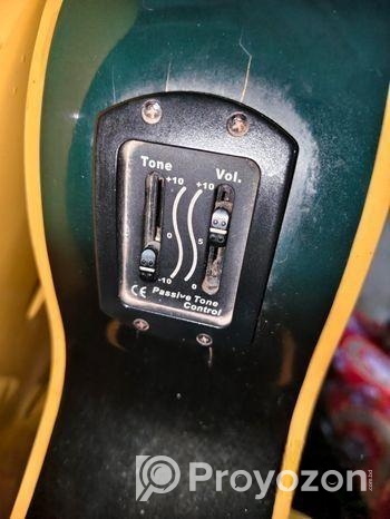 Sx Custom Guitar