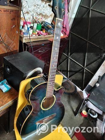 Sx Custom Guitar
