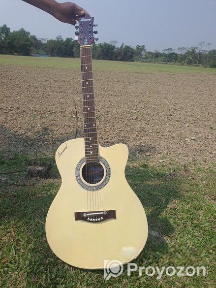 গিটার