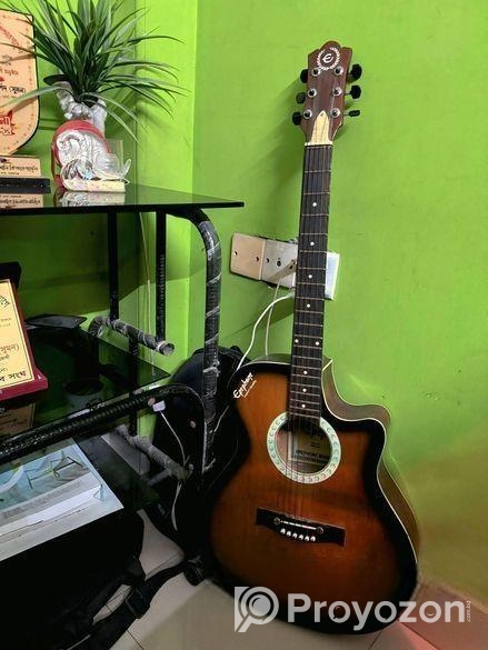 Japanese Guitar
